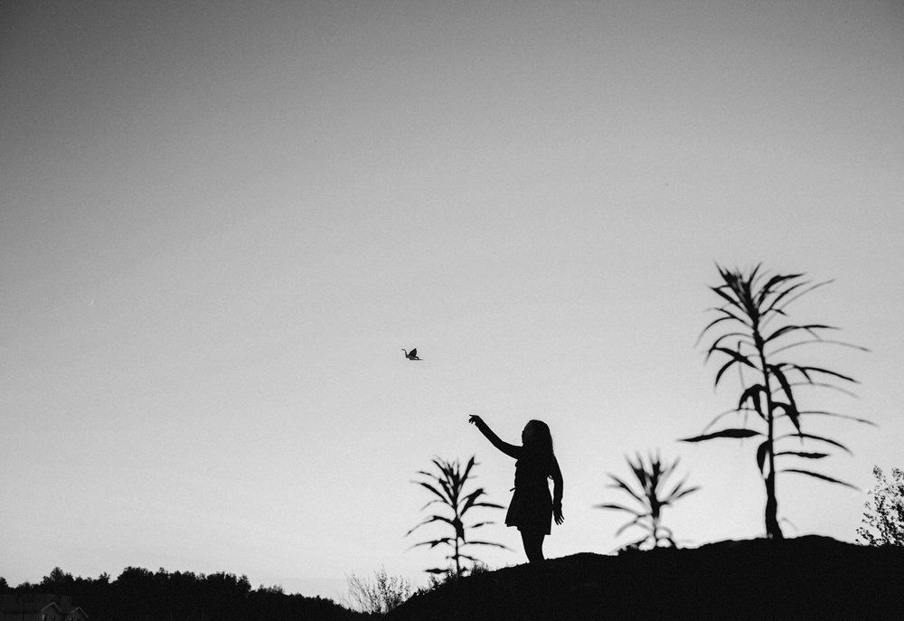 путь журавлика