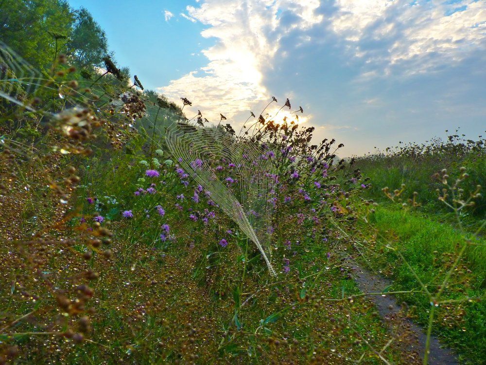 На рассвете.