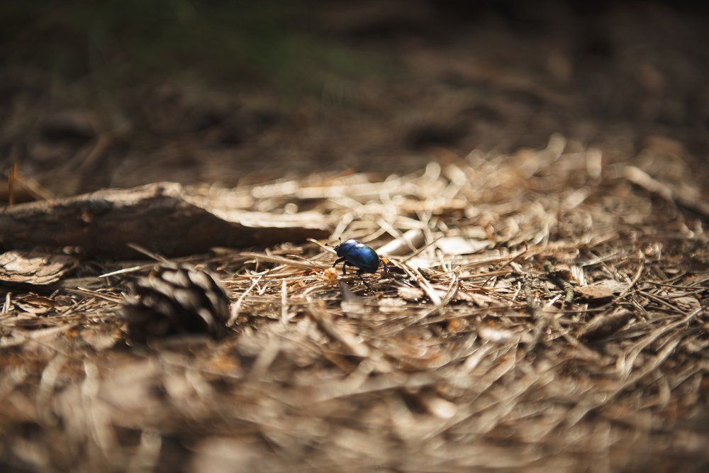 Photograph by юлия