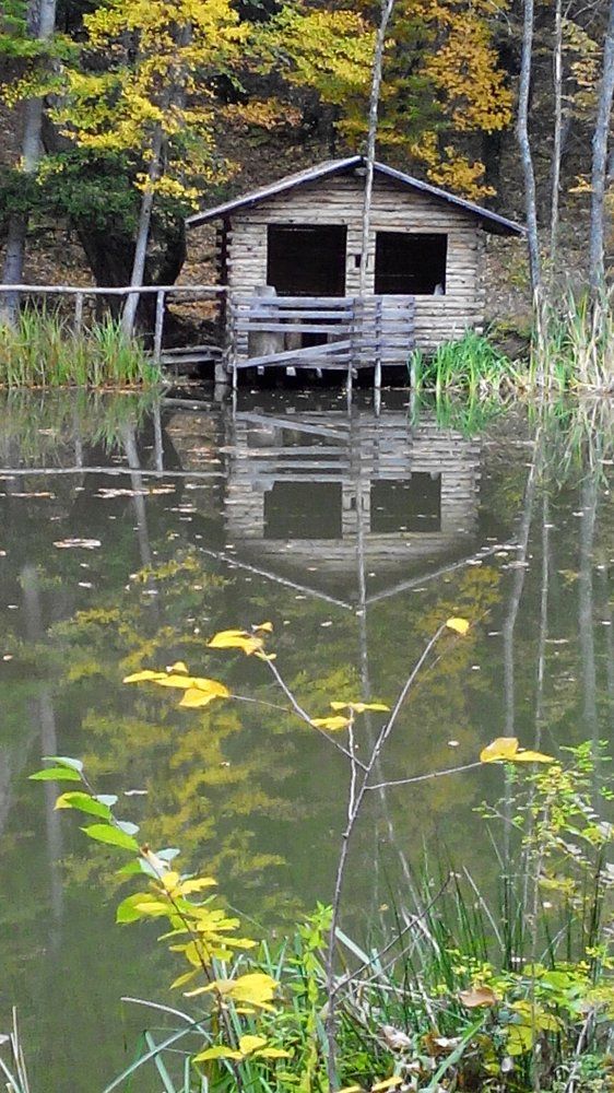 Photograph by марина