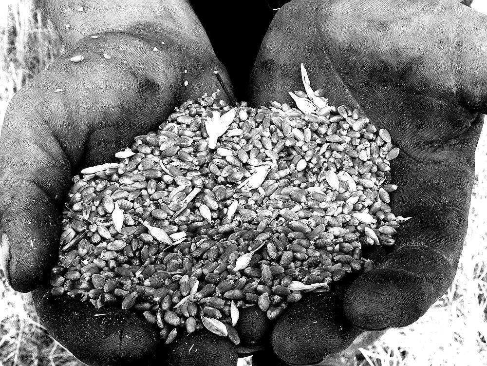 ..Трудный Хлеб..