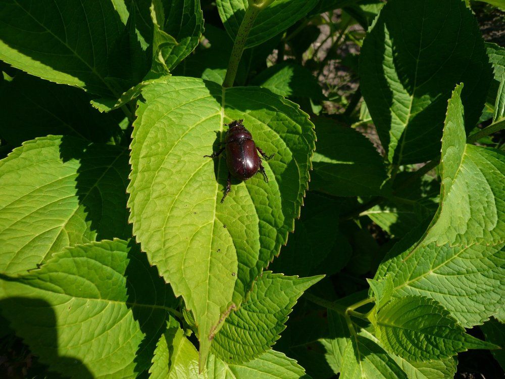 " Маленький житель огромной планеты".