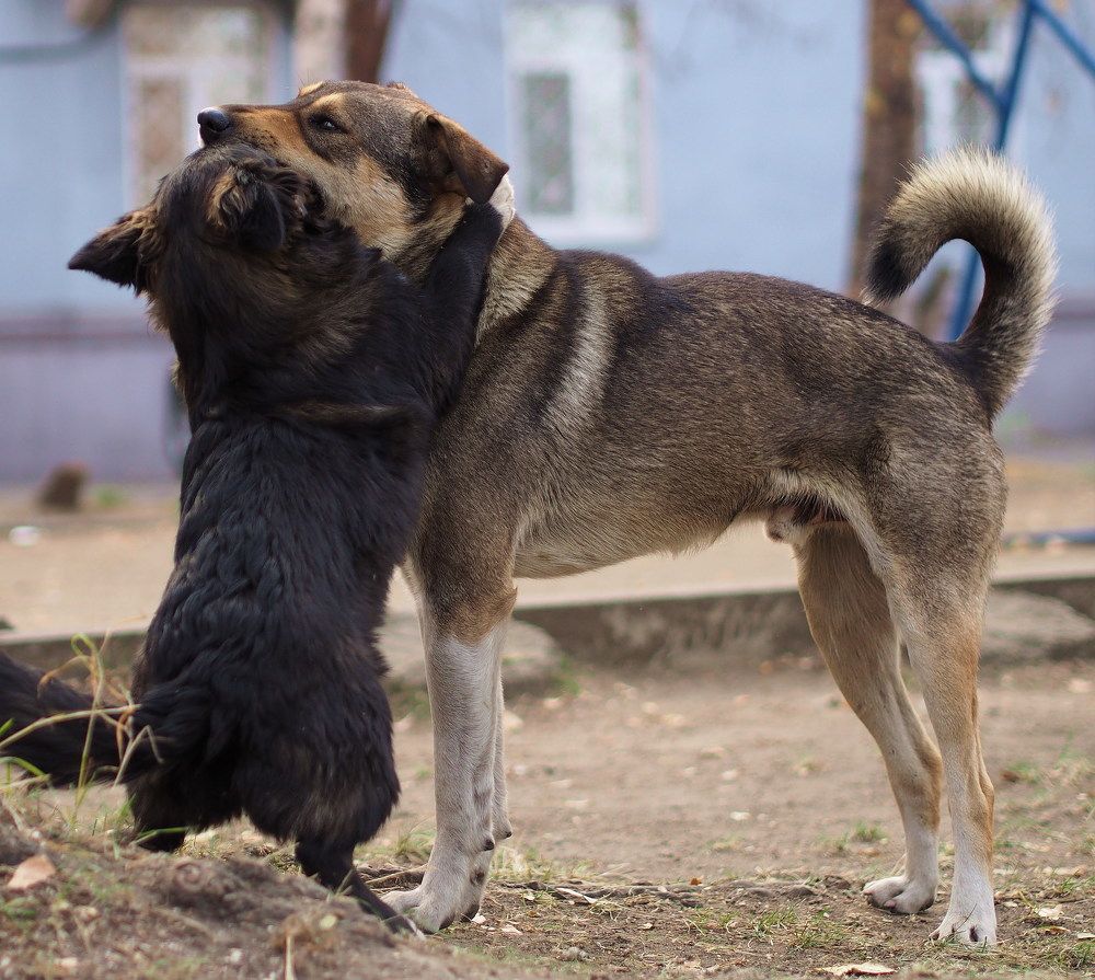 "...дорогой,я так по тебе соскучилась..."