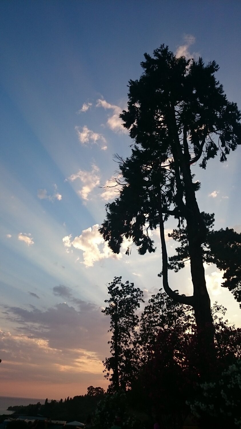 Photo #1036822