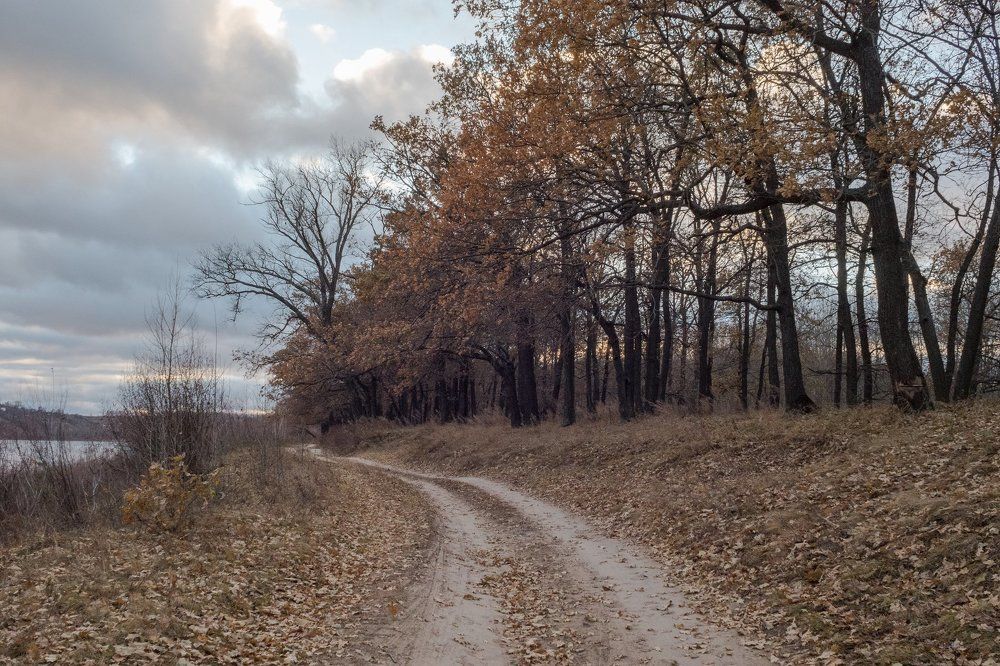 Photograph by Юферев Алексей