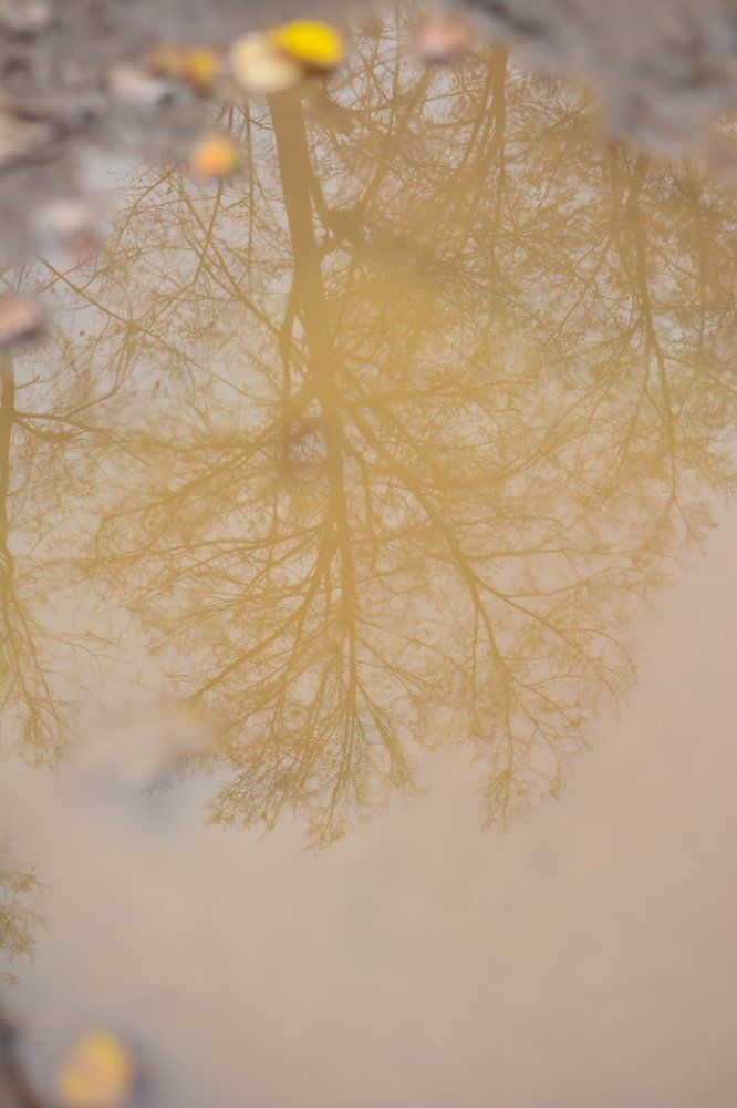 Photograph by Гульнара