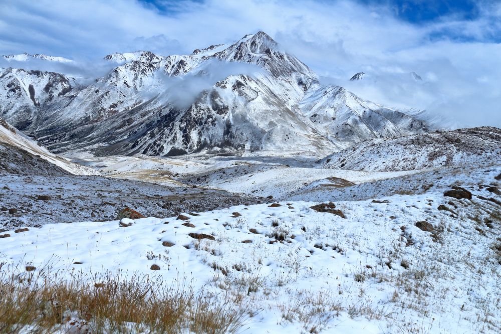 Белые одеяла