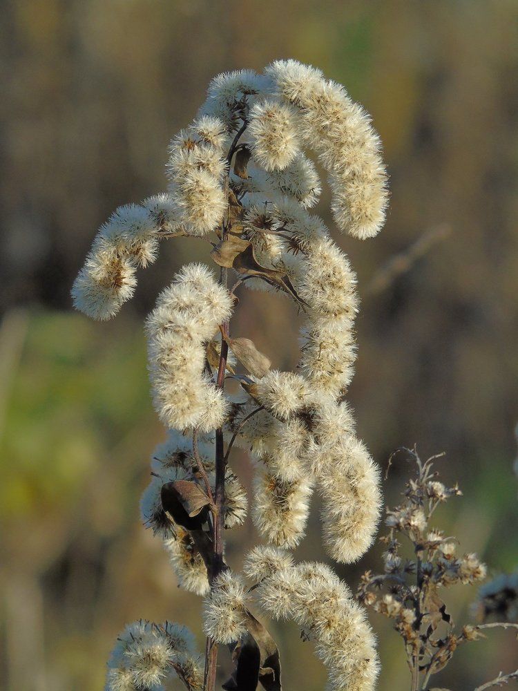 И холод нипочем