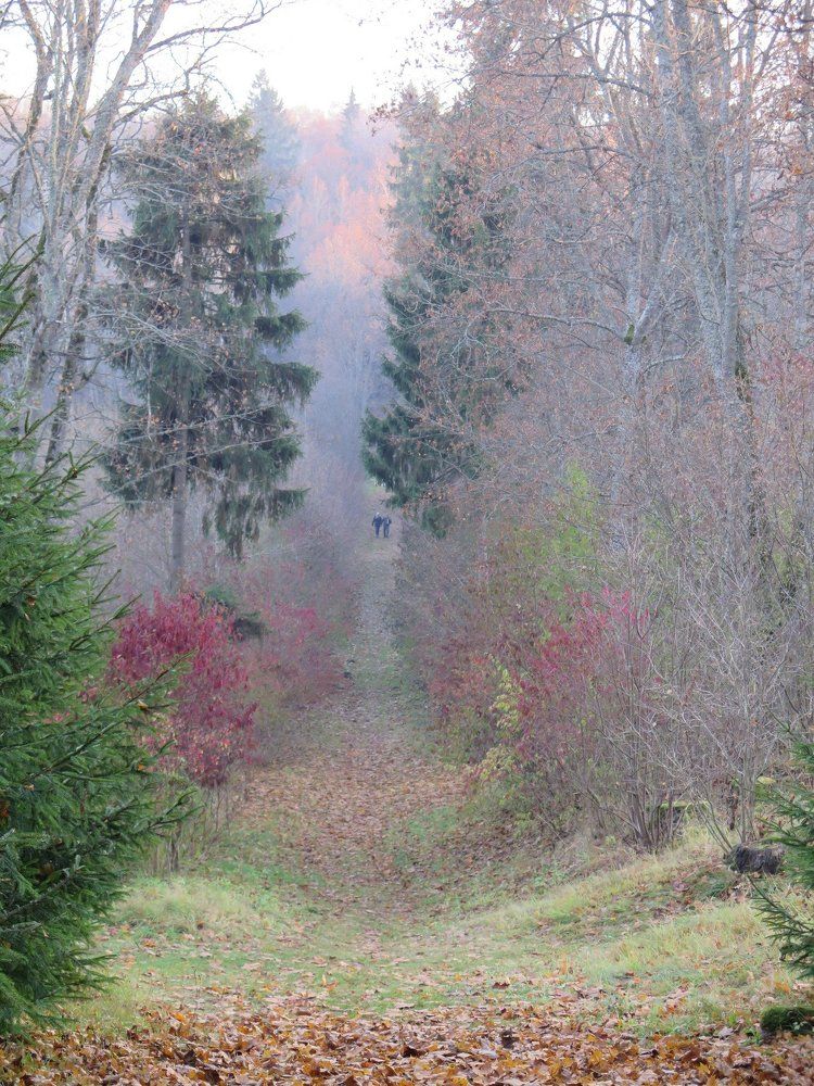 Photograph by vera s