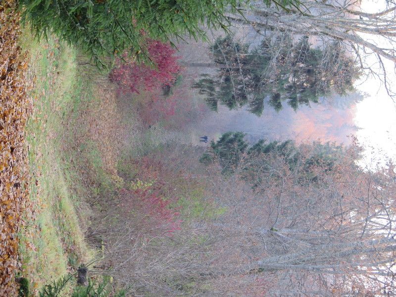 vera s, Great Britain