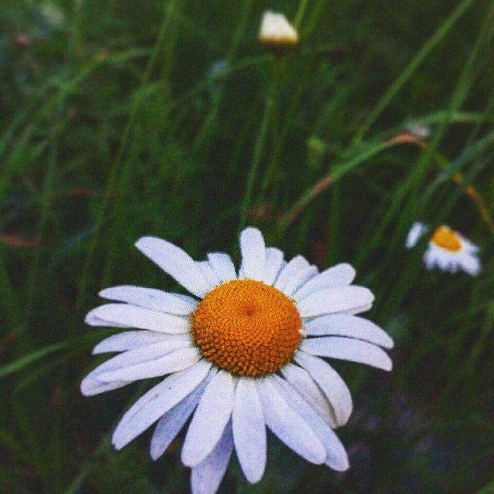 Photograph by Карина