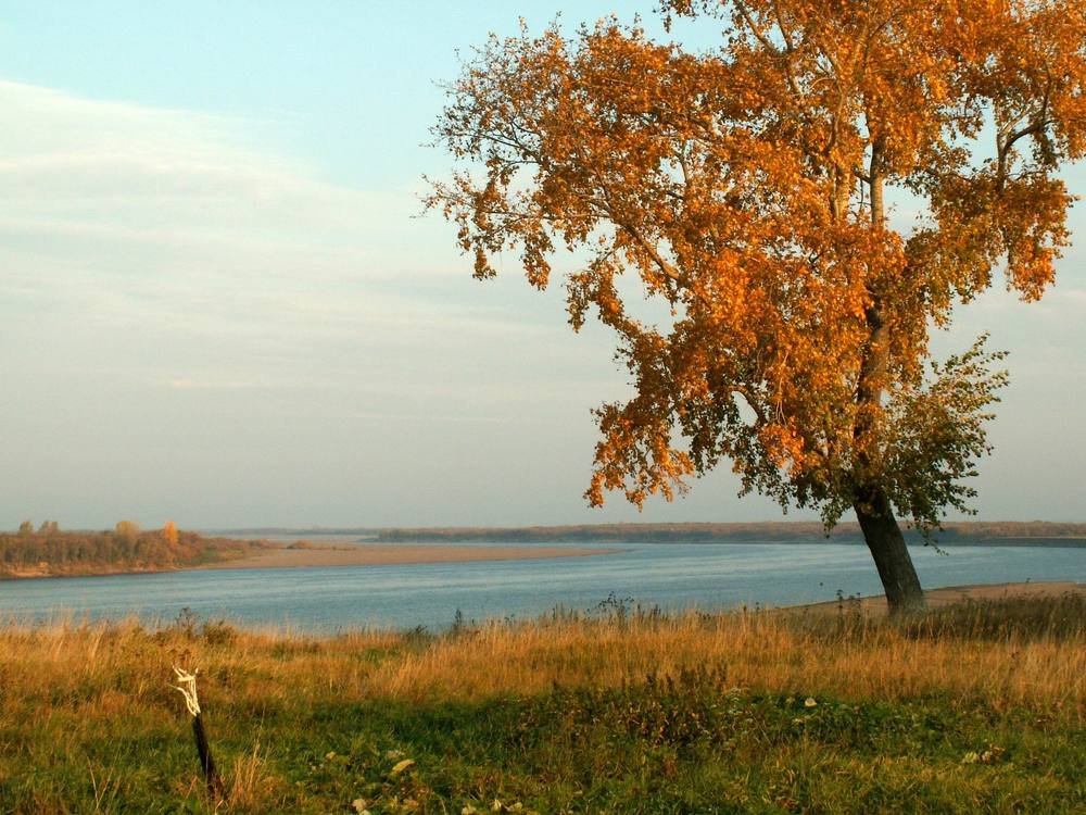 Осень