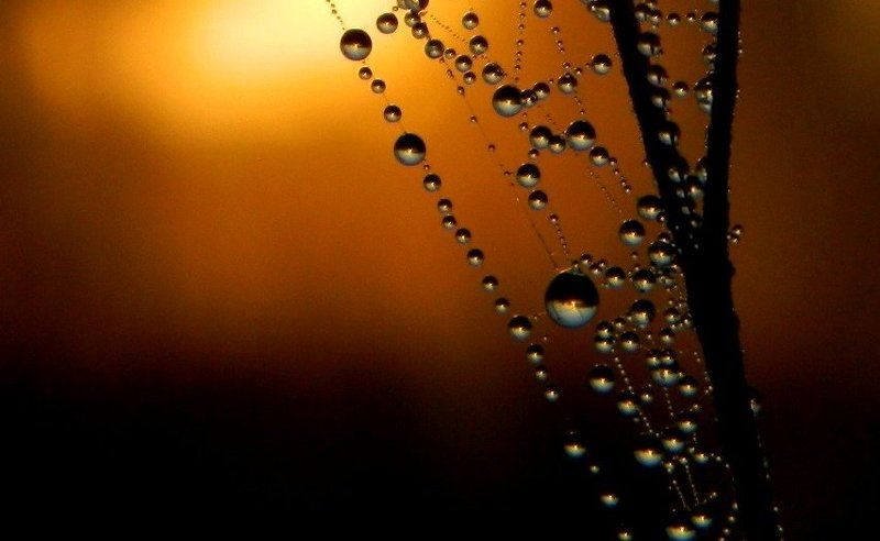 Наталья, Russia