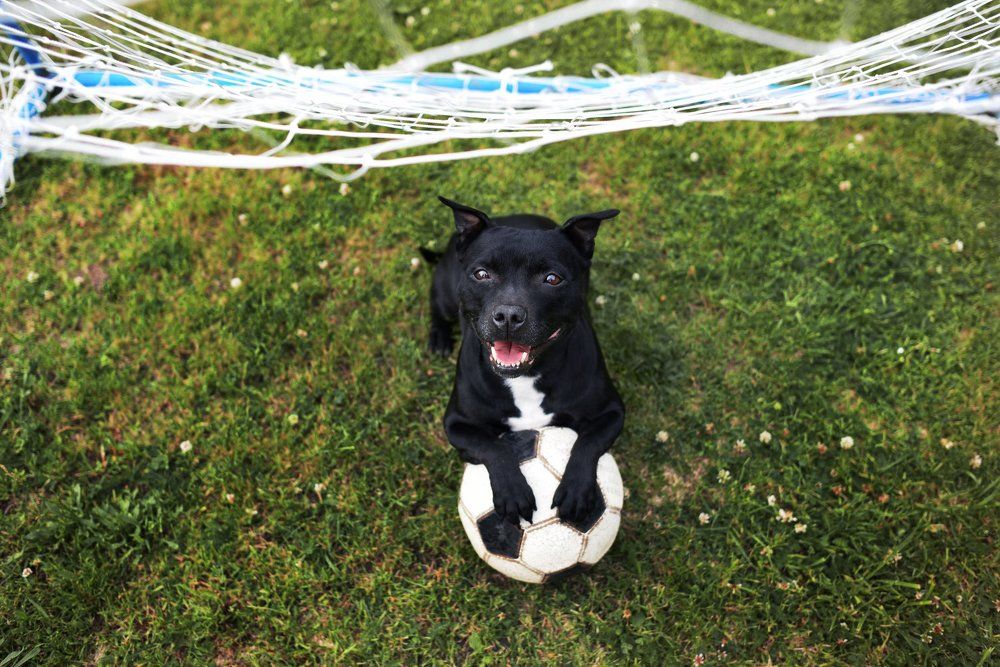 Юный футболист