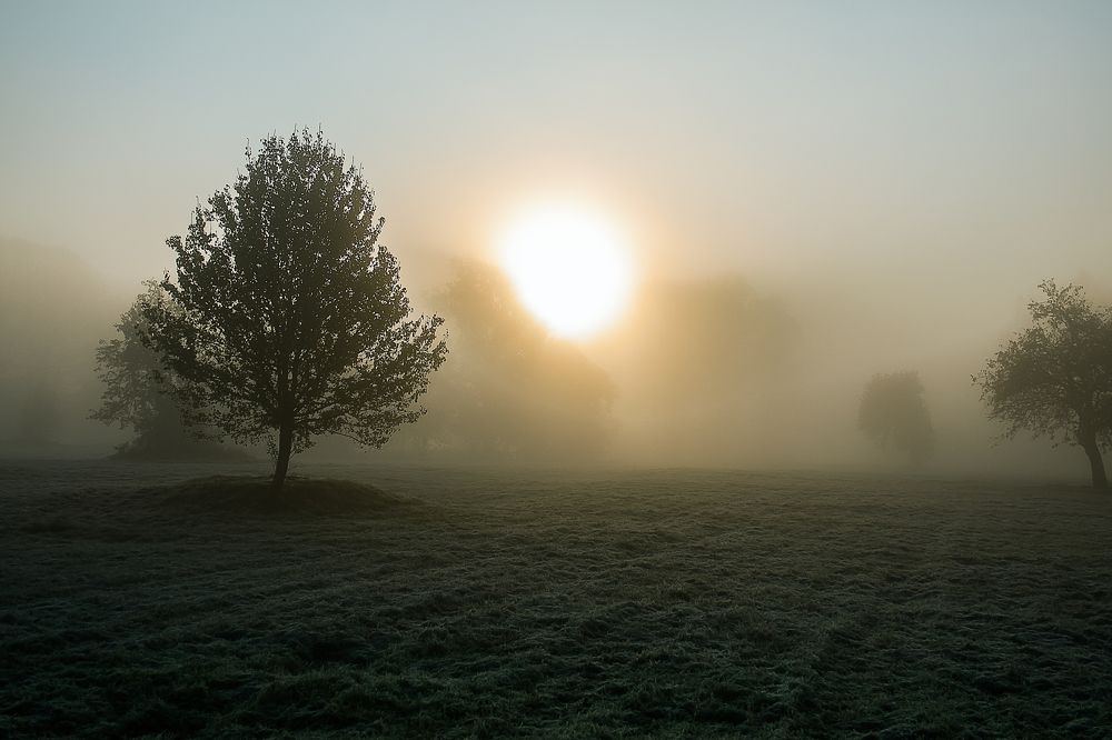 Туманный рассвет