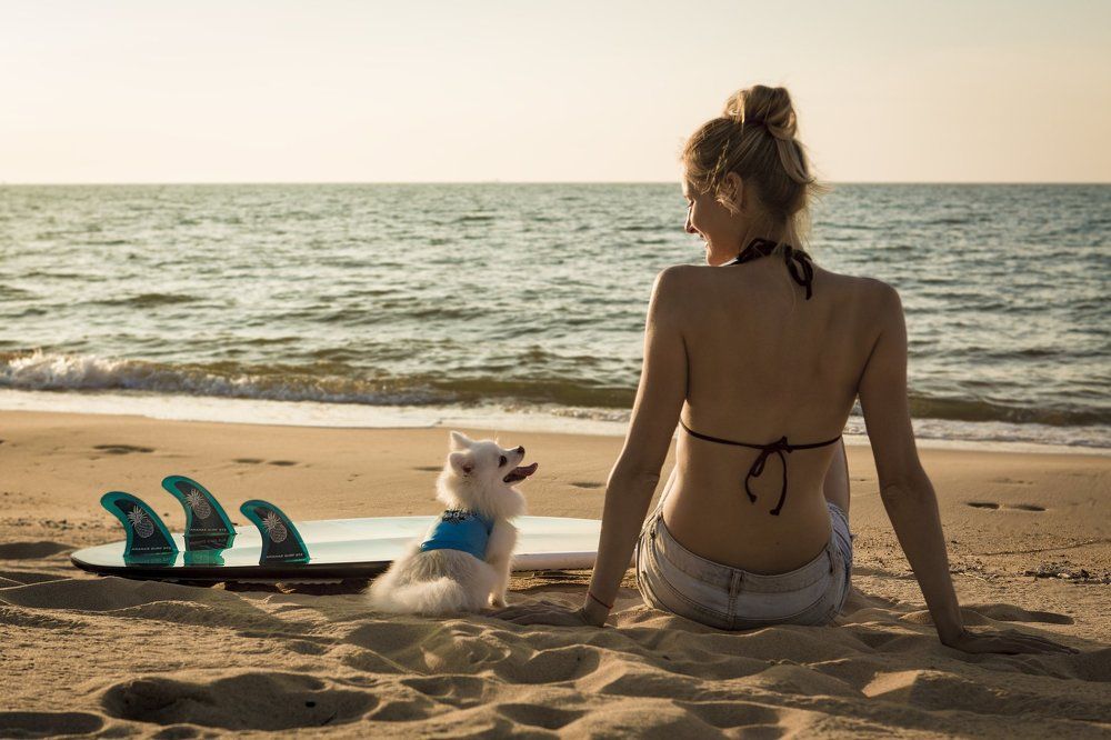 Момент понимания