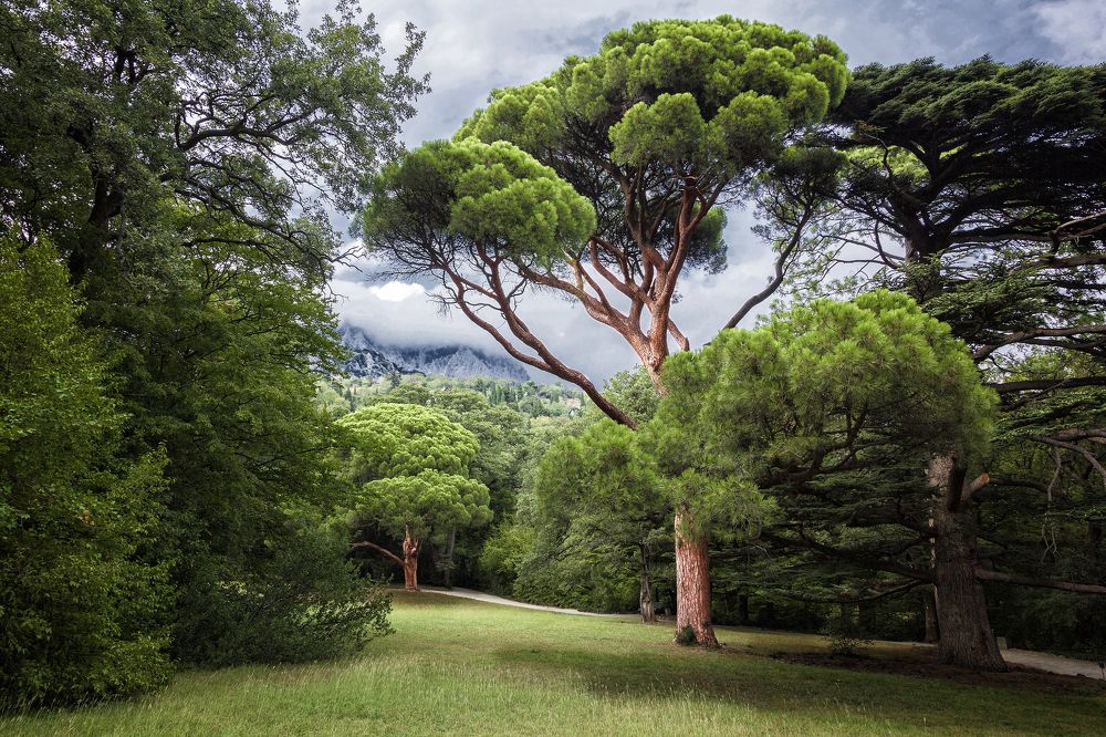 Ялта. Никитинский сад