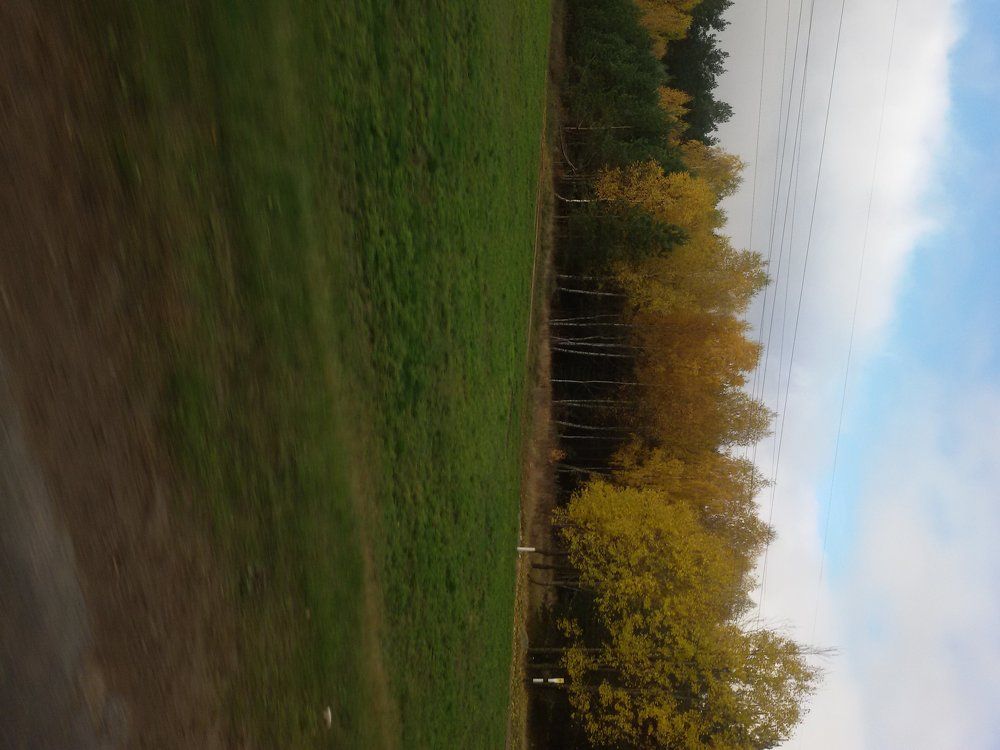 природа родной земли