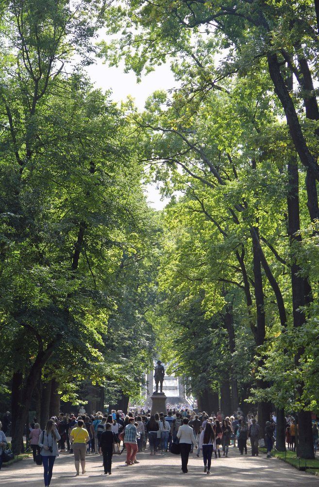 "Зеленые великаны"