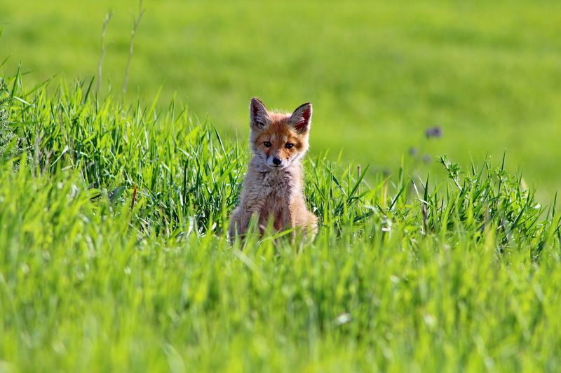 Марина Дубинцева, Russia