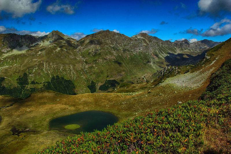 Viktor Kozlov, Russia