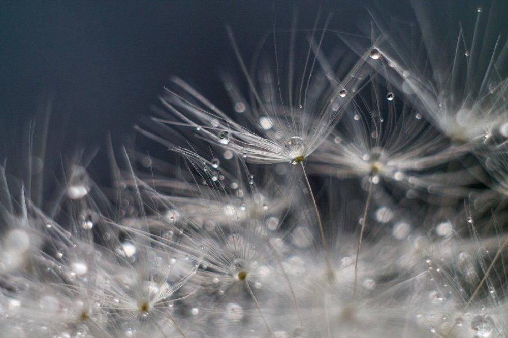 галактическое скопление