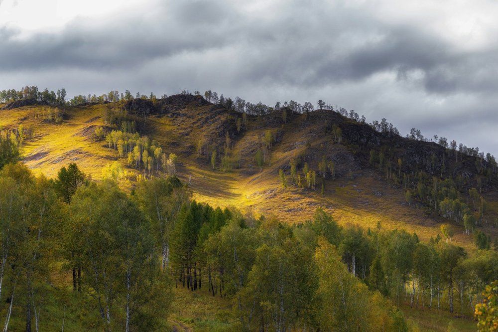 Золото осени
