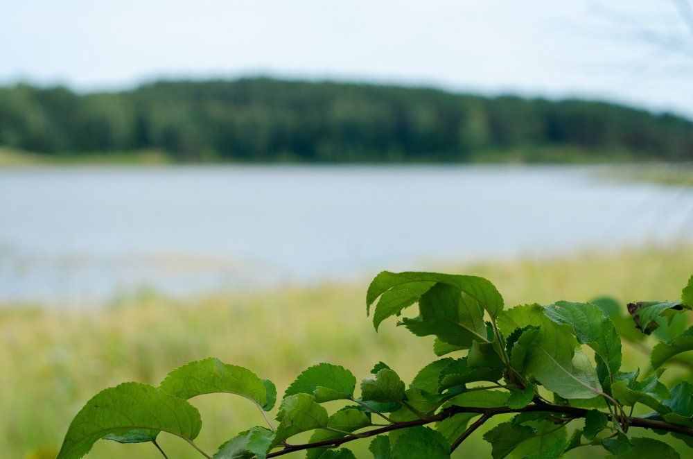 Желанный водоём