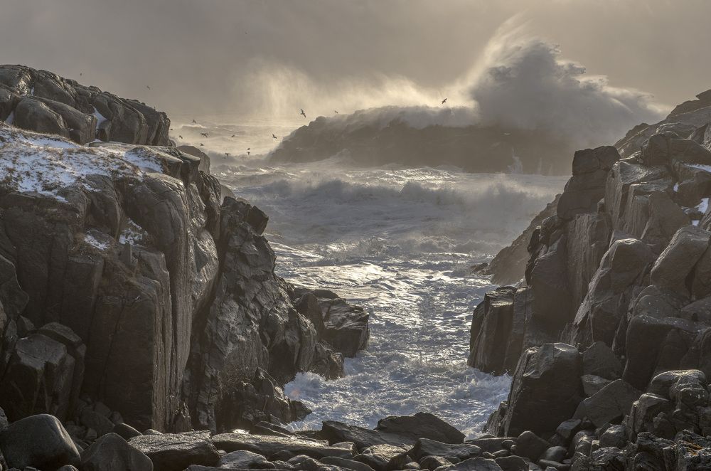 Стихия севера