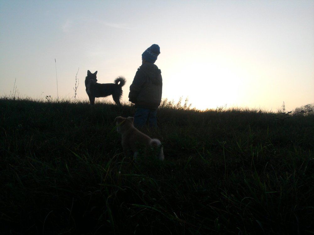 Закат одинокого пастуха!