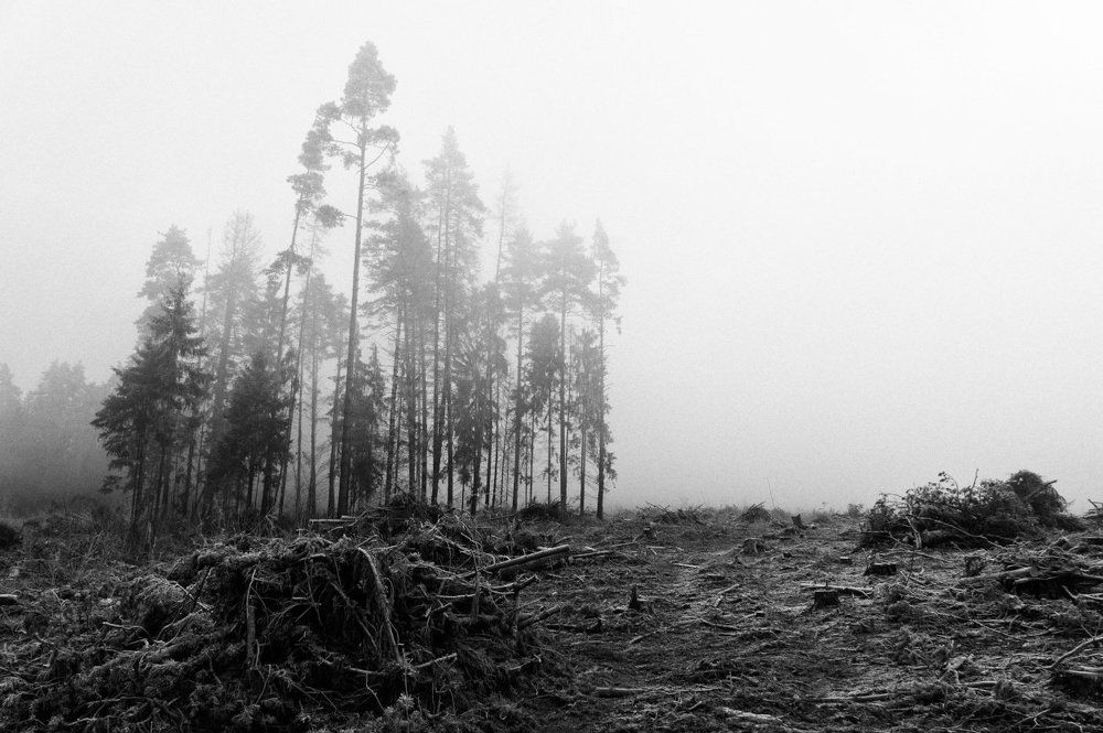 Стоять до конца!