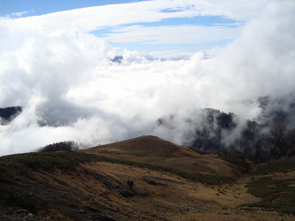 Окно в небо