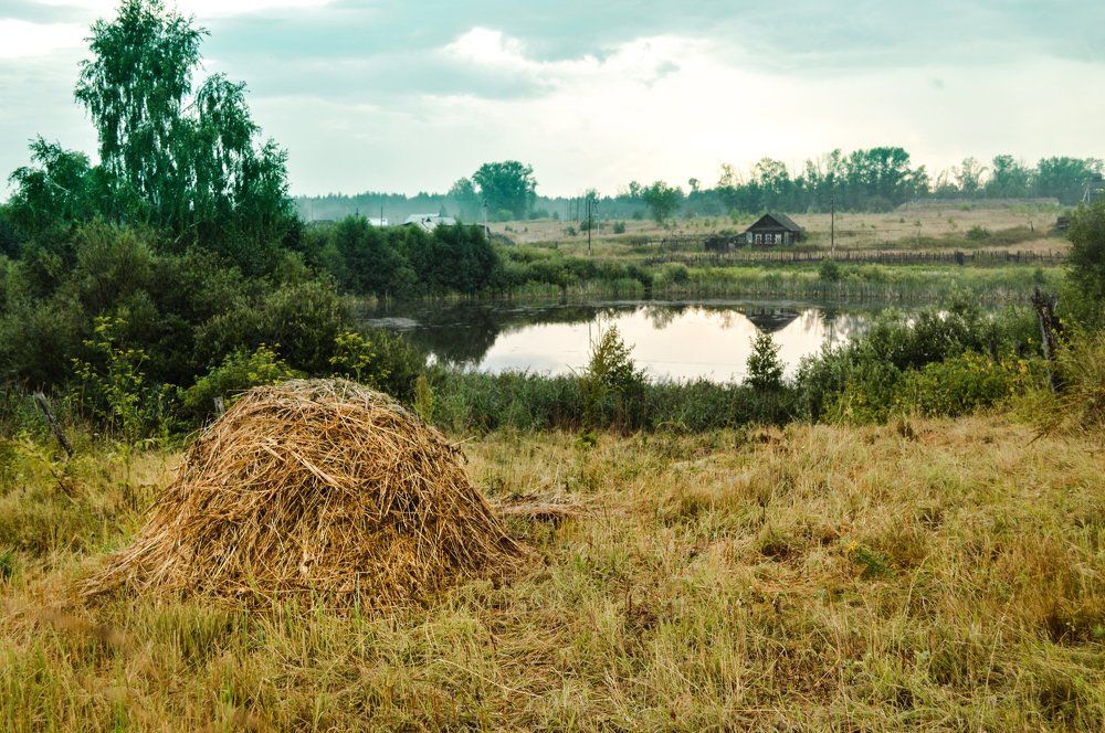 После дождя