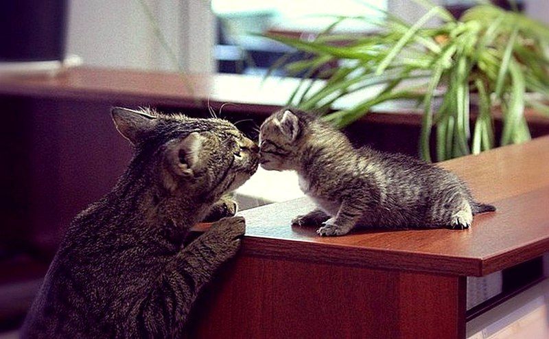 Сергей, Russia