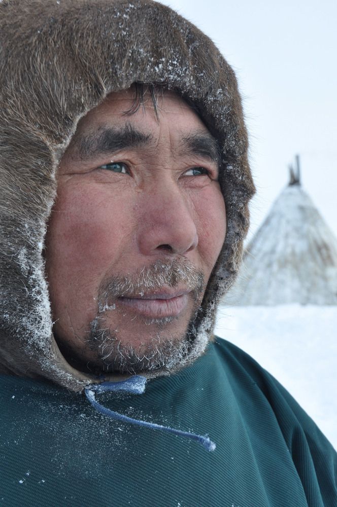 Хозяин тундры