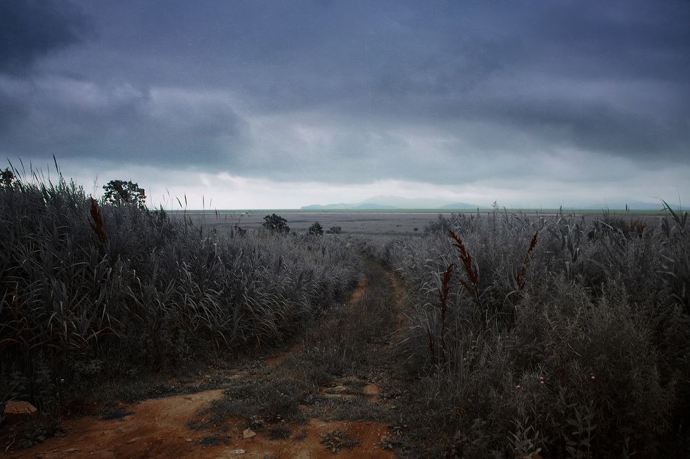 Photograph by Sergey