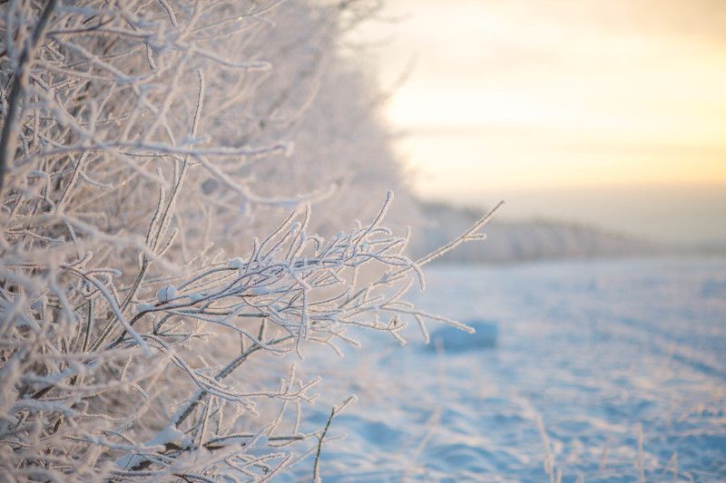 Alexander Shvayko, Russia