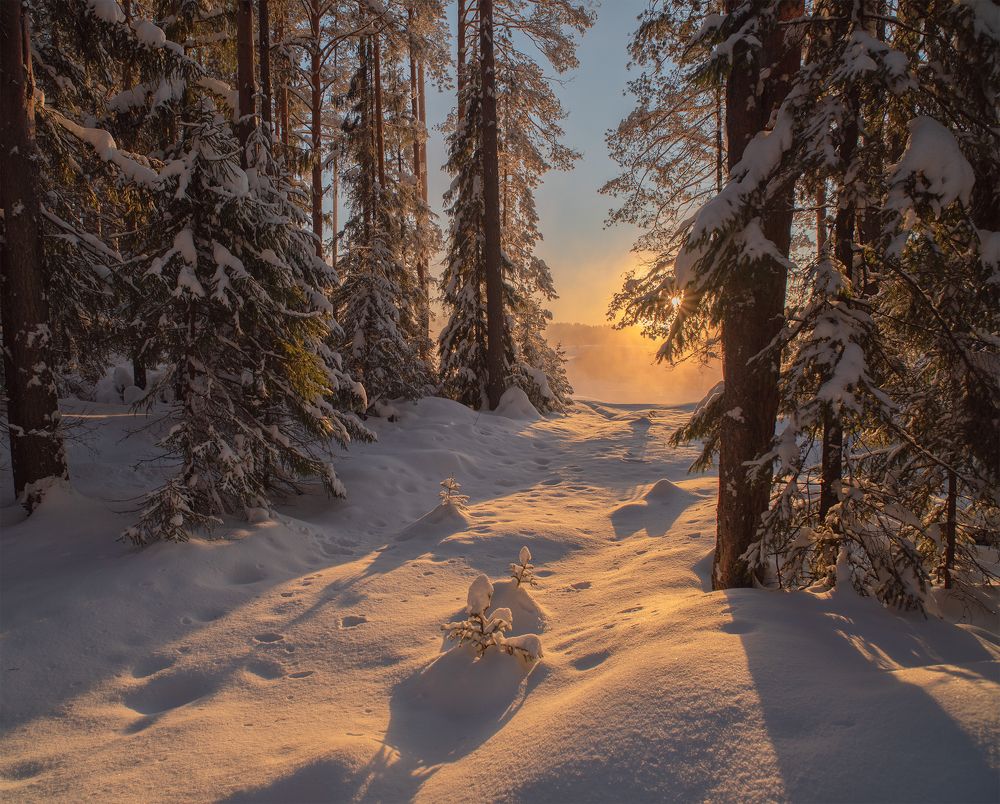 Фотография автора Евгений Карепанов