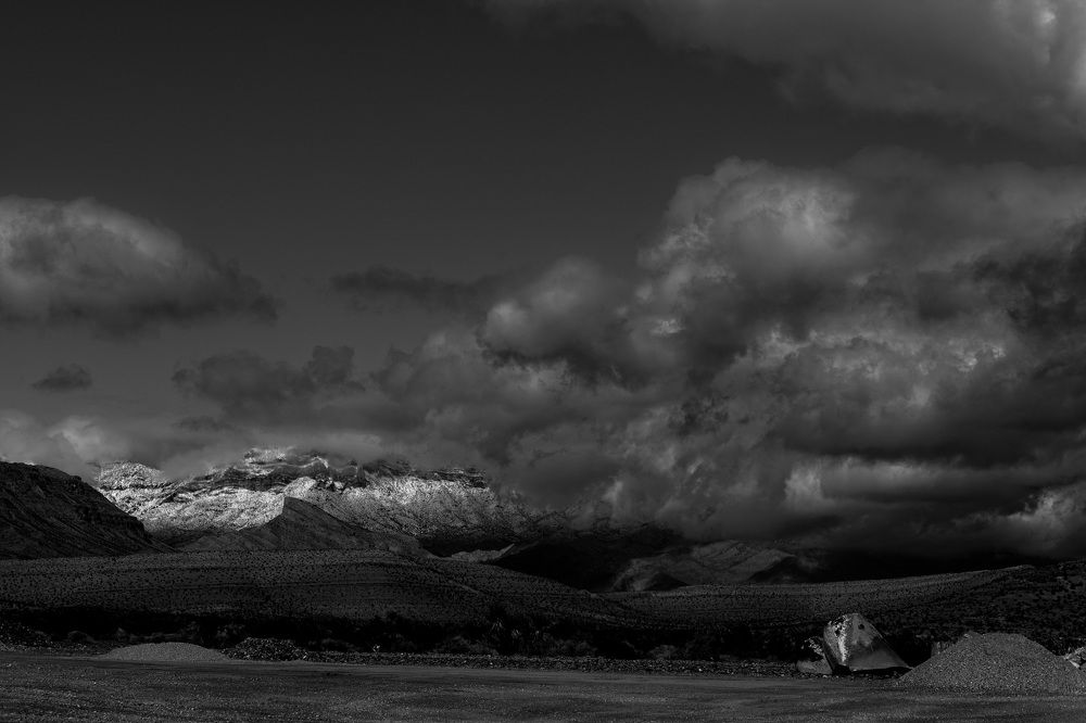 Photograph by Daria Osipova