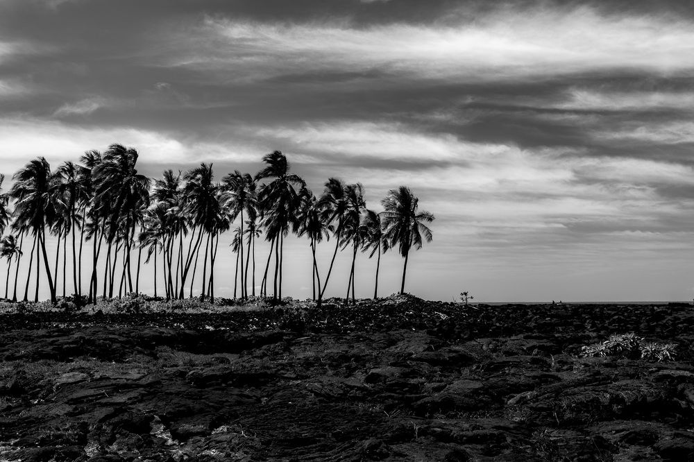 Photograph by Daria Osipova