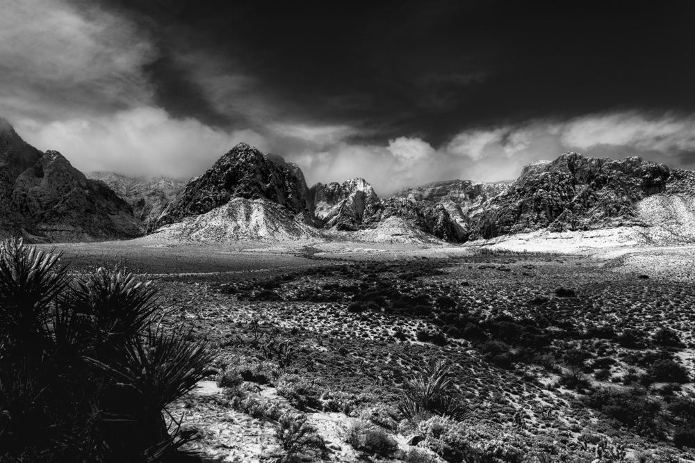 Photograph by Daria Osipova