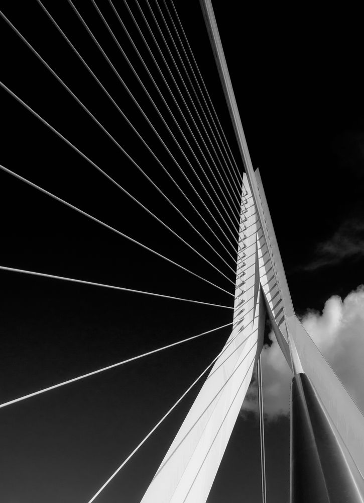 Photograph by Ivo Matějů