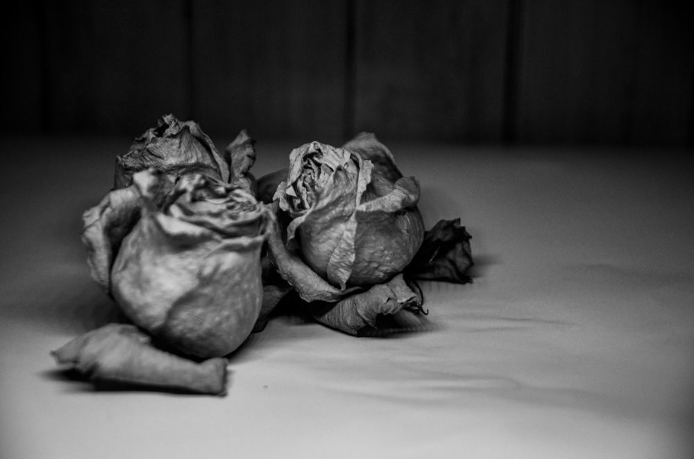 Photograph by Артём Серегин