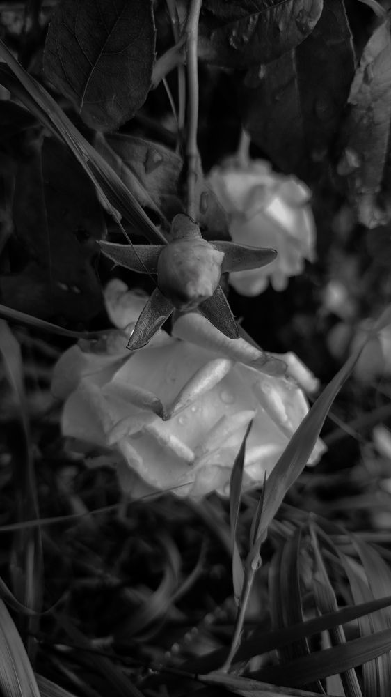 Фотография автора Екатерина