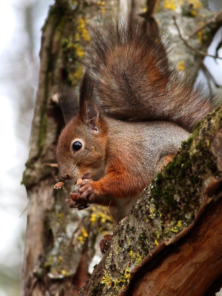 Photograph by Ольга Пилиповец
