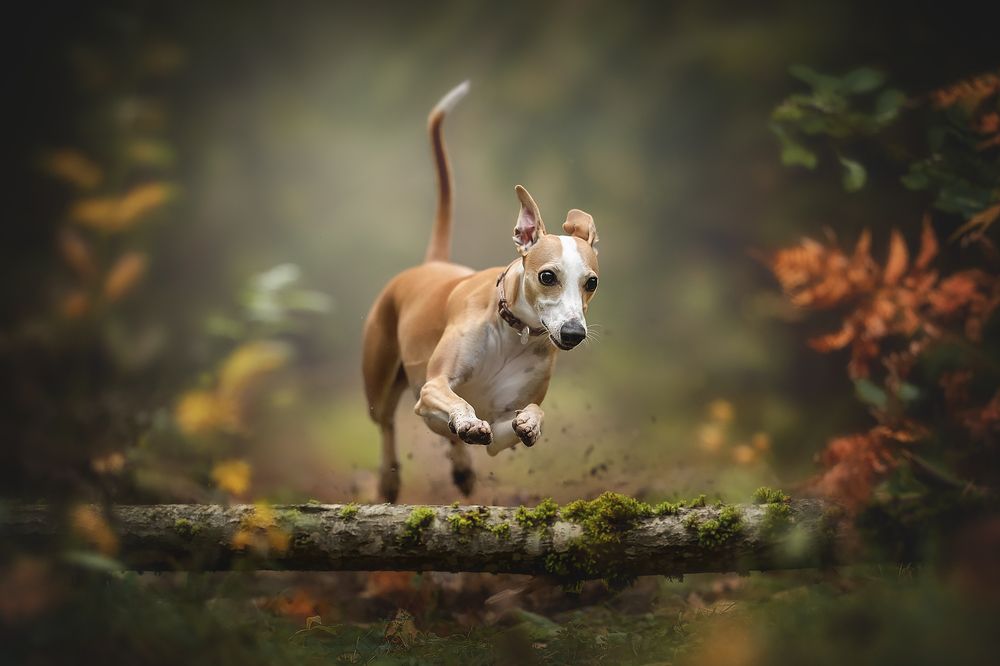 Photograph by Людмила Богуш