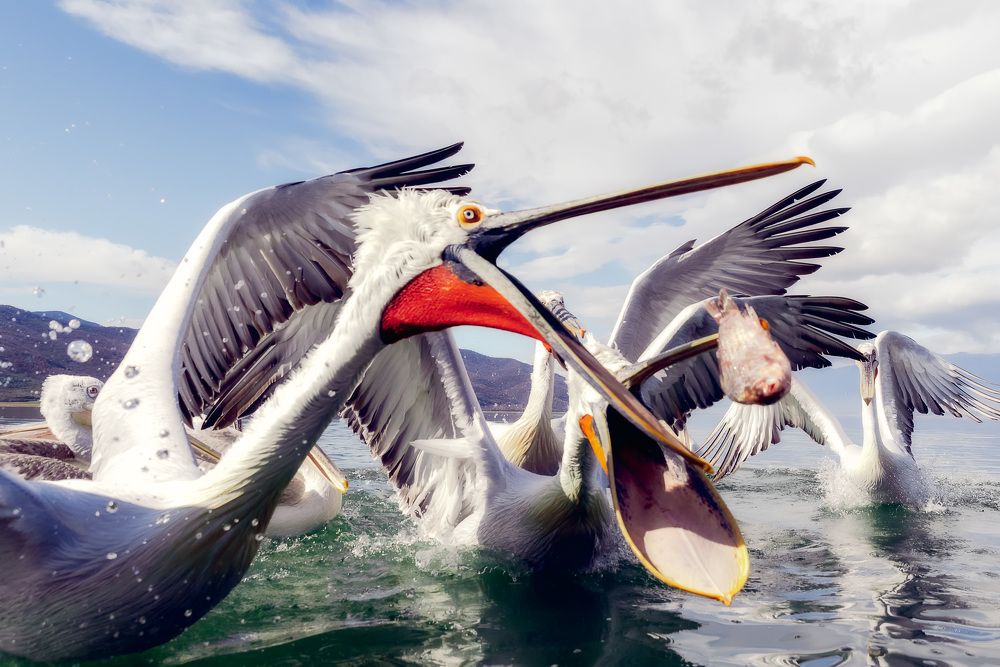 Photograph by Leonov Nikos(Nougzari)