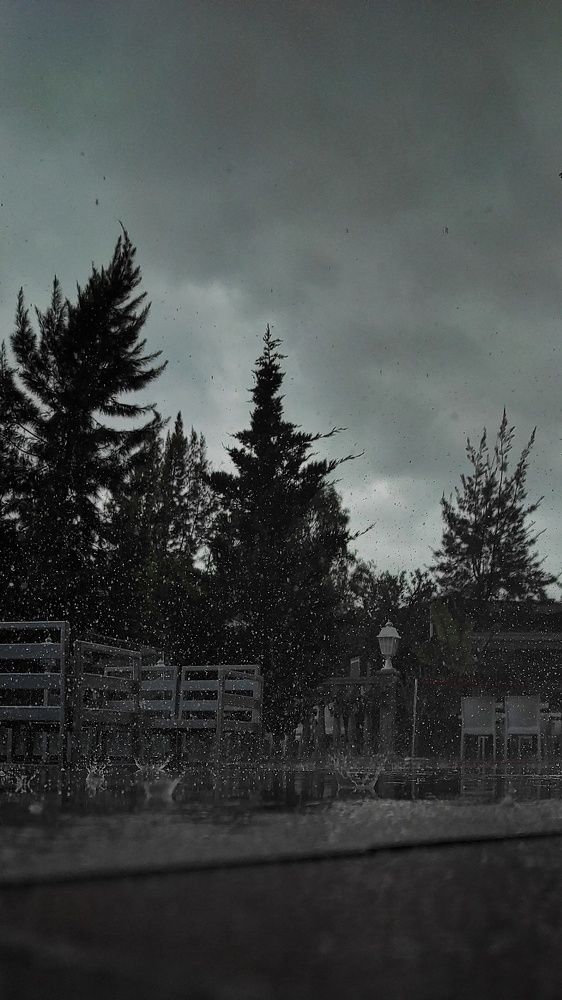 Photograph by Наталья Рау