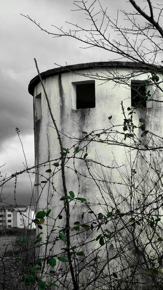 Photograph by amir mohammad manzouri