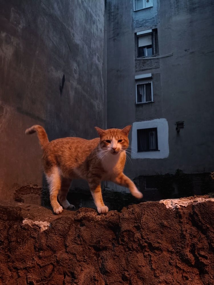 Photograph by Татьяна Шевелева